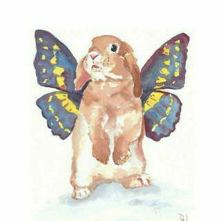 Tempat gabut vampire