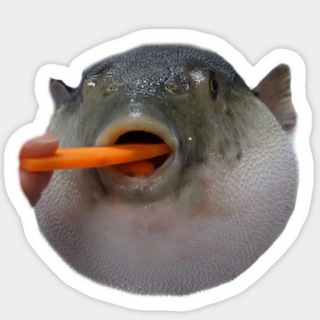 Рыба | Икра | Морепродукты