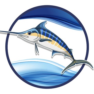 Рыбная лавка - Обнинск - Выдача заказов