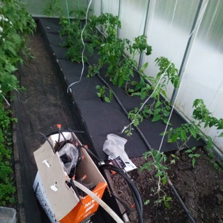 Сад огород с еЛен.