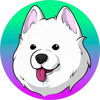 Samoyedcoin СНГ Сообщество