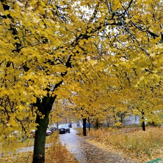 Саратов Чат Объявления Барахолка Знакомства