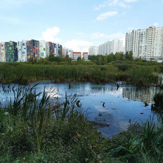 9 микрорайон Северный