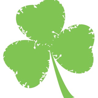 shamrock中文社区