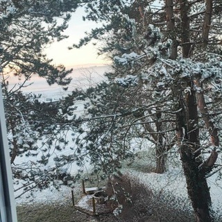 Land of Sharewood Forst