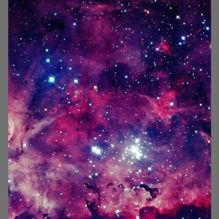 ~Новые знакомства~