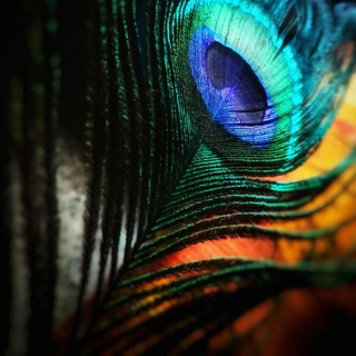 Free refferel share group