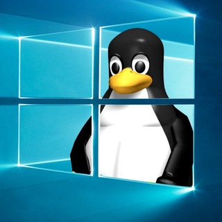 Чат Шерика | Techtok | Про телефоны