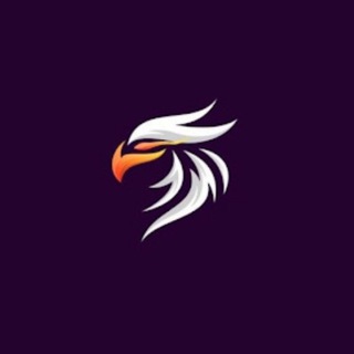 SHQIP Team P҉O҉N҉Z҉I҉