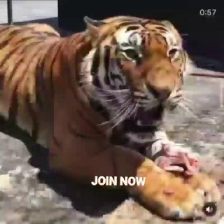 𝙅𝙤𝙞𝙣 𝙉𝙤𝙬💬