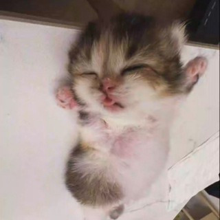 Знакомства