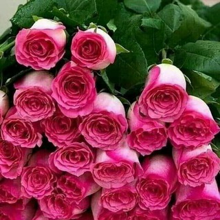 Знакомства в Германии Баварии Зальцбурге