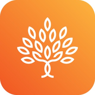 Снежинские сады. Магазин