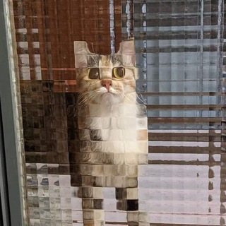 حراميه 🇮🇶