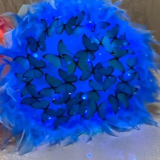 𝐒𝐨𝐟𝐢 𝐁𝐮𝐤𝐞𝐭𝐥𝐚𝐫