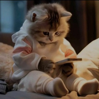 ꄲꋊ꒒꒐ꋊꏂ ꉔꁝꋬ꓄