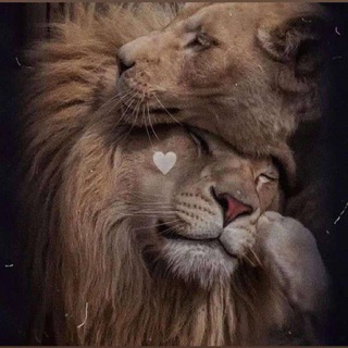 ✨SÖHBƏT QRUPU✨