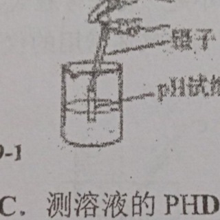 solveQuizChat电报做题群