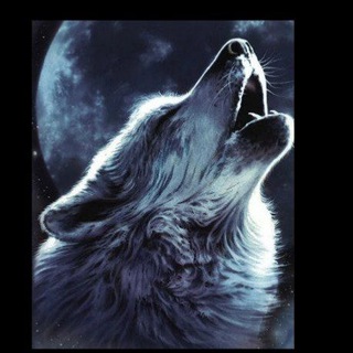 ✞𝕏𝕒𝕟 ℚ𝕣𝕦𝕡𝕦✞