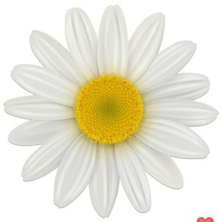 Знакомства в Нью Йорке. Бруклин. Speed Dating. Вечер встреч.