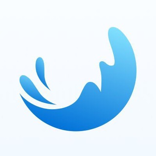 Splash Wallet Support