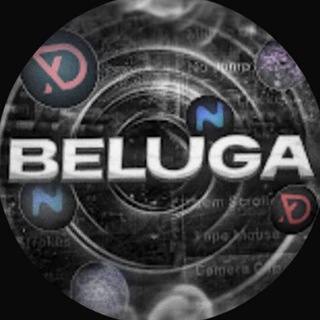 BelugaByst