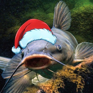 Чат СОМнений - Так всё-таки делать прививку или нет?