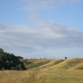 Чат с.Старі Безрадичі