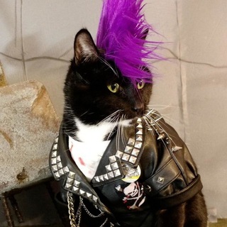 Студ-РОК 🤘🎸🎆