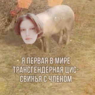 сука точка ру