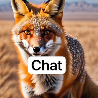 X - Supper Seeding Chat