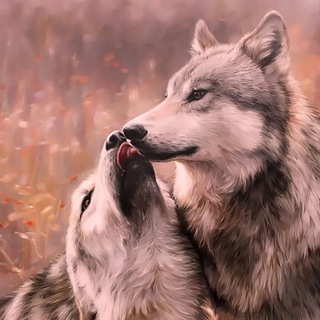 SV Черноземья