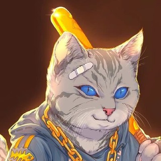 西里奧Chinese Whale100X 🥷