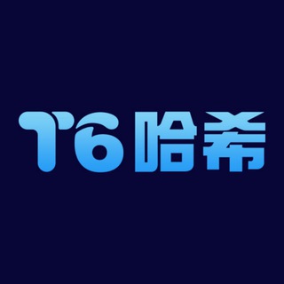 T6哈希娱乐群组
