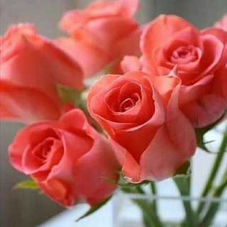 Мы живём на Слабожанском. Соседи, знакомства, услуги, отдам даром и т.д.🌇