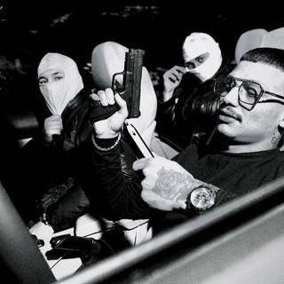 𝑇𝐼𝑀𝑆𝐴𝐻𝐿𝐴𝑅 / 𝐶𝑅𝑂𝐶𝑂𝐷𝐼𝐿𝐸𝑆 𓆌