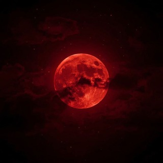 𝁘♡ 𝆭⇠֩𝆺𝅥֠ 𝛃𖾘𝅝֟፝𝅝𝛛 𖾕𝅝֟፝𝅝ᴎ 🌙𝆭⇢֩𝆺𝅥֠