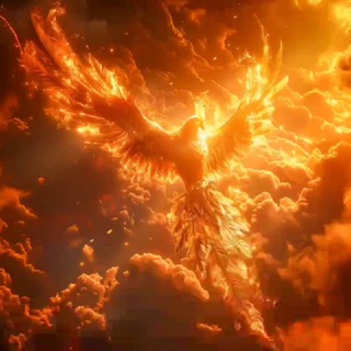 ▋ٜ🔱ٜ ᵗᶬᶜ🔺𝙏𝘼𝙈𝙄𝙇 𝙈𝘼𝙆𝙆𝘼𝙇 𝘾𝙃𝘼𝙏🔻ٜ▐