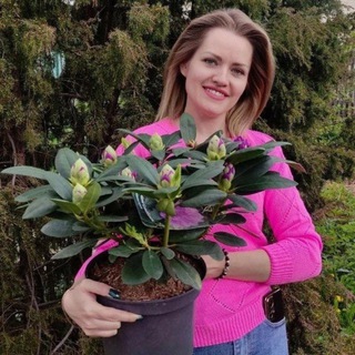 Татьянин сад чат 💬