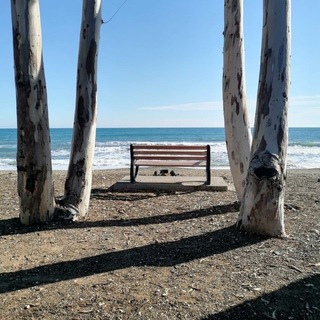 Мерсин 🍋 Тедже (Tece, Тэдже)