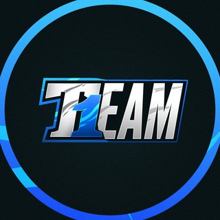 T1 Team