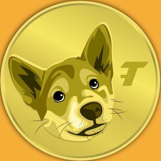 Teddy - The Tile Doge CTO 🐕