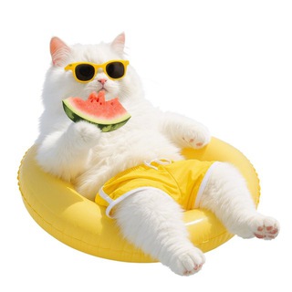 CARI TEMAN ONLINE 18+ X DYON 88