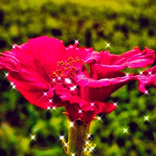 𝐓𝐞𝐥𝐮𝐠𝐮 𝐆𝐢𝐫𝐥𝐬 𝐛𝐨𝐲𝐬 𝐂𝐡𝐚𝐭𝐭𝐢𝐧𝐠 𝐠𝐫𝐨𝐮𝐩