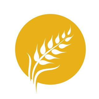 АГРОТЕМА | Зернові UA 🇺🇦