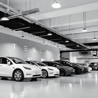 ❗Tesla Model 3/Y 電「車」友 💋