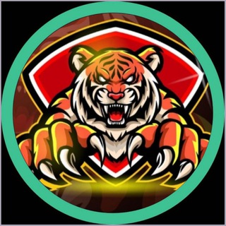 𝗧𝗶𝗴𝗲𝗿 𝗖𝗿𝘆𝗽𝘁𝗼