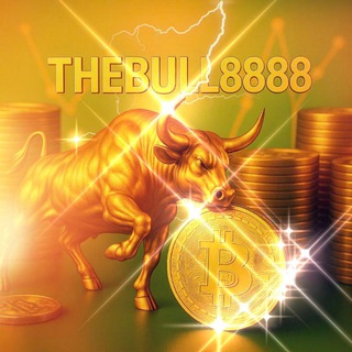 TheBull8888 | Chat 🇻🇳