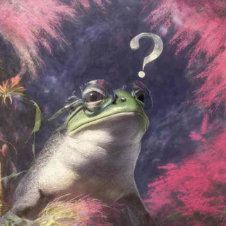 Болото Жабопользователей 🐸