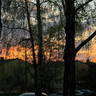 Знакомства Канева